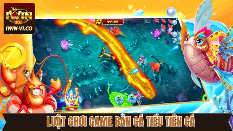 Bắn Cá Tiểu Tiên Cá Iwin - Tựa Game Săn Thưởng Kho Báu Đại Dương 3 Kiến thức cơ bản của bắn cá tiểu tiên cá tại Iwin